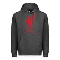 Charcoal Heather l f c Premium Hoodie - artisFamous