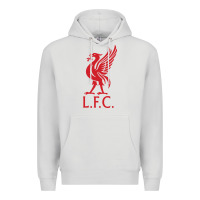 Dove Grey l f c Premium Hoodie - artisFamous
