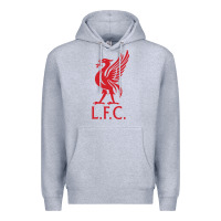 Heather Grey l f c Premium Hoodie - artisFamous
