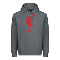 Rock l f c Premium Hoodie - artisFamous