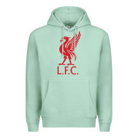 Seafoam l f c Premium Hoodie - artisFamous