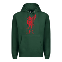 Sports Green l f c Premium Hoodie - artisFamous