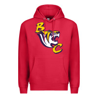 Cardinal Benedict Gift Art Premium Hoodie - artisFamous