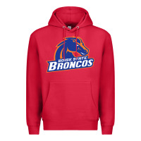 Cardinal Boise Design Premium Hoodie - artisFamous