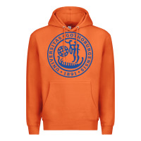 Carrot university of gothenburg Premium Hoodie - artisFamous