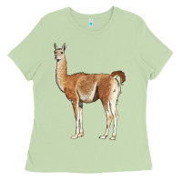 Matcha guanaco llama Ladies Tee - LillyAllenDesigns