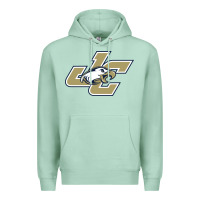 Seafoam juniata college Premium Hoodie - artisFamous
