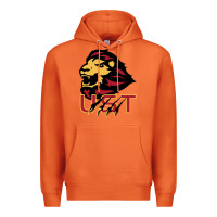 Carrot university of saint thomas spirit Premium Hoodie - artisFamous