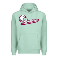Seafoam augsburg university Premium Hoodie - artisFamous