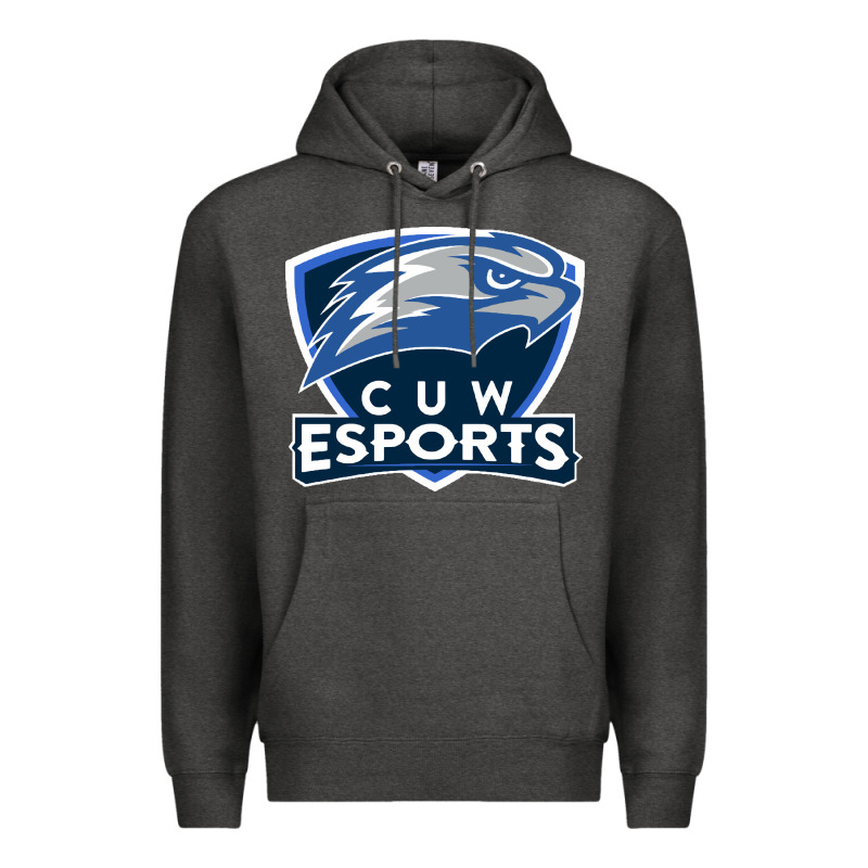 Concordia University Wisconsin Premium Hoodie by artisFamous | Teevron