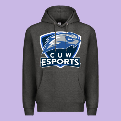 Concordia University Wisconsin Premium Hoodie Designed By Artisfamous