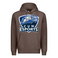 Coffee concordia university wisconsin Premium Hoodie - artisFamous