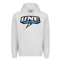 Dove Grey new england university Premium Hoodie - artisFamous
