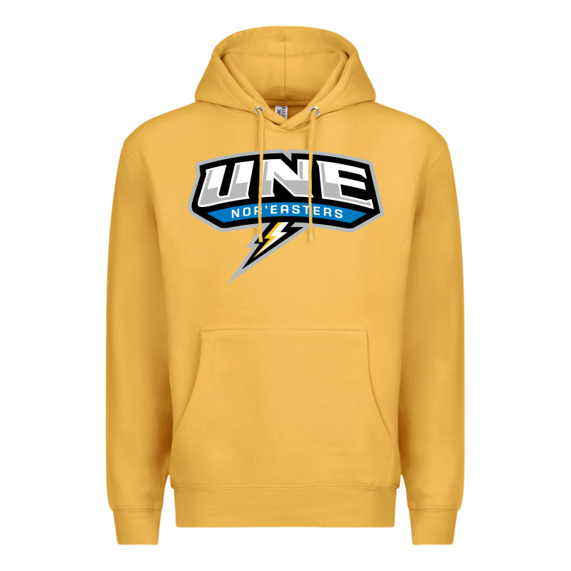 New England University Premium Hoodie by artisFamous | Teevron