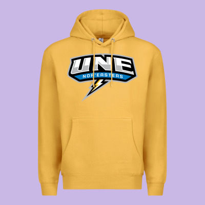 New England University Premium Hoodie Designed By Artisfamous