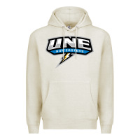 Oatmeal Heather new england university Premium Hoodie - artisFamous