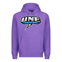 Purple new england university Premium Hoodie - artisFamous