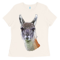 Bone Guanaco Llama Head Ladies Tee - LillyAllenDesigns