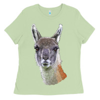 Matcha Guanaco Llama Head Ladies Tee - LillyAllenDesigns