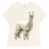 Bone Alpaca Ladies Tee - LillyAllenDesigns