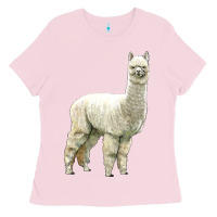 Bubblegum Pink Alpaca Ladies Tee - LillyAllenDesigns