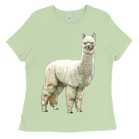 Matcha Alpaca Ladies Tee - LillyAllenDesigns