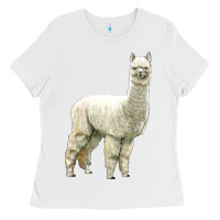 White Alpaca Ladies Tee - LillyAllenDesigns