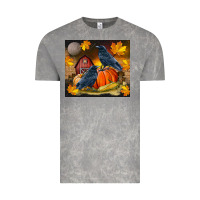 Cloud Rock Fall Crow Vintage Tee - LillyAllenDesigns