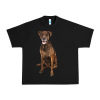 Black plott hound Urban Heavy Tee - LillyAllenDesigns