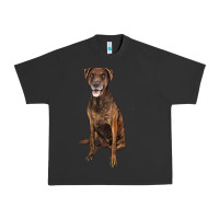 Pigment Black plott hound Urban Heavy Tee - LillyAllenDesigns