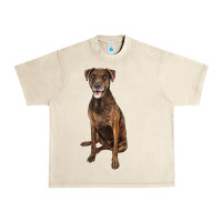 Plott Hound Urban Heavy Tee | Teevron
