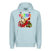 Blue Mist mens ho ho ho mosexual Premium Hoodie - DesigneFamous