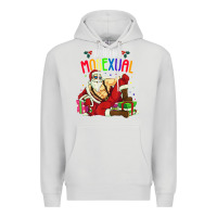Dove Grey mens ho ho ho mosexual Premium Hoodie - DesigneFamous