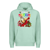 Seafoam mens ho ho ho mosexual Premium Hoodie - DesigneFamous