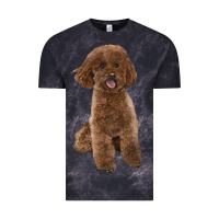 Cloud Black Poodles Dog lllustrations Vintage Tee - LillyAllenDesigns