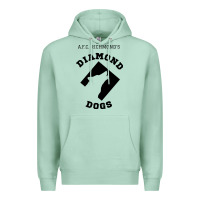 Seafoam lassos diamond dogs classic Premium Hoodie - DesigneFamous