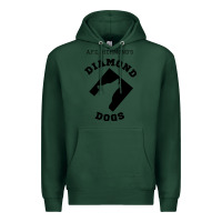 Sports Green lassos diamond dogs classic Premium Hoodie - DesigneFamous