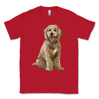 Red goldendoodle Classic Tee - BarkalooDesign