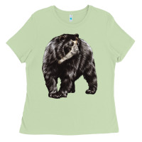 Matcha Spectacled Bear Ladies Tee - LillyAllenDesigns