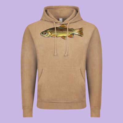 Arizona Apache Trout Fish Vintage Hoodie Designed By Barkaloodesign