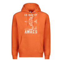 Carrot e 3 sentry awacs plane gift Premium Hoodie - DesigneFamous