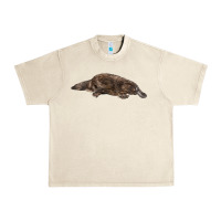 Sandshell Platypus Urban Heavy Tee - LillyAllenDesigns