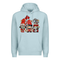 Blue Mist ladybug  gnomies Premium Hoodie - BarkalooDesign