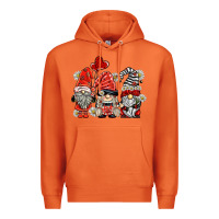 Carrot ladybug  gnomies Premium Hoodie - BarkalooDesign