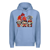 Colony Blue ladybug  gnomies Premium Hoodie - BarkalooDesign