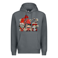 Rock ladybug  gnomies Premium Hoodie - BarkalooDesign