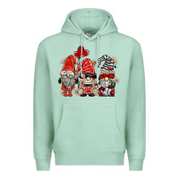 Seafoam ladybug  gnomies Premium Hoodie - BarkalooDesign