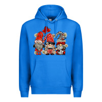 True Royal ladybug  gnomies Premium Hoodie - BarkalooDesign