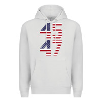 Dove Grey 4547 Premium Hoodie - DesigneFamous