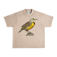French Oak Western Meadowlark Urban Heavy Tee - LillyAllenDesigns